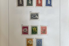 7056-NLgest-ong-pf-pagina-41