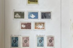 7056-NLgest-ong-pf-pagina-61