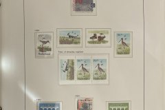 7057-NL-pf-pagina-49
