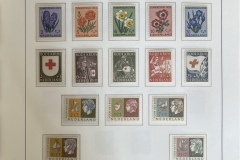 7061-NL-ong-pf-pagina-43